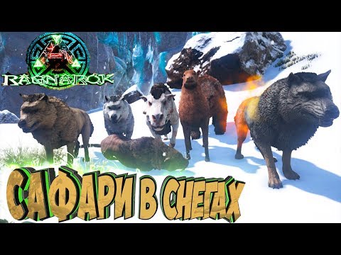 Видео: САФАРИ В СНЕГАХ - ARK Survival Evolved Выживание на Ragnarok #25
