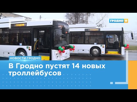 Видео: В Гродно пустят 14 новых троллейбусов