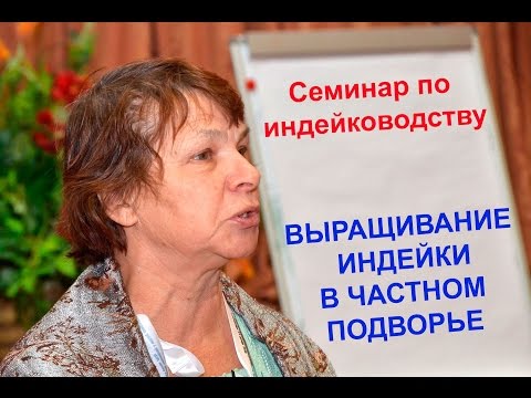 Видео: Выращивание индеек на примере частного подворья. Третьякова Л.А.