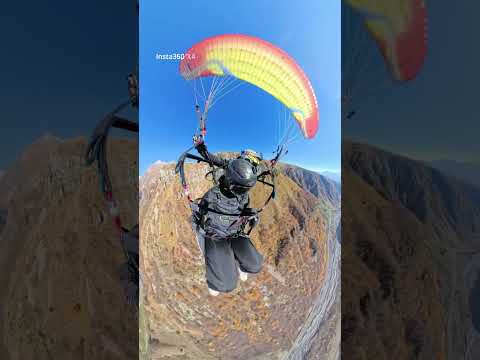 Видео: 5 ноября 2025 г.