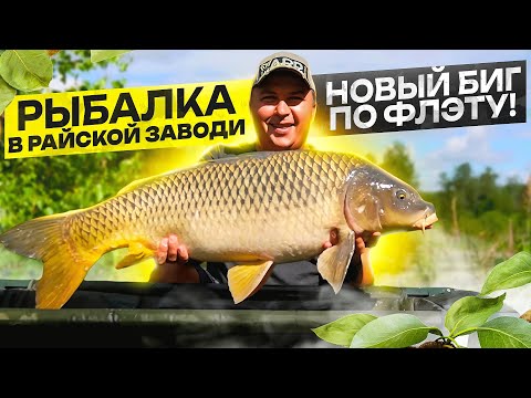 Видео: ДА СКОЛЬКО ЖЕ КАРПОВ В ЭТОЙ ЗАВОДИ?! Оторвался по флэту от души! НОВЫЙ БИГ!