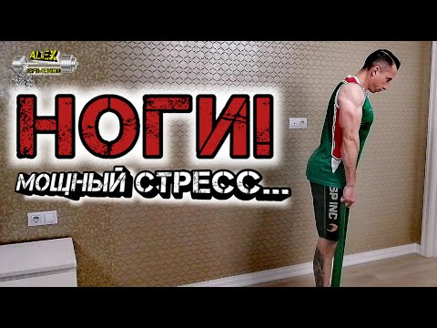 Видео: НОГИ! Домашняя тренировка с РЕЗИНОВЫМИ ПЕТЛЯМИ.