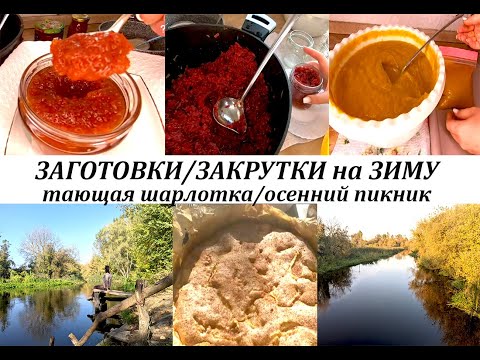 Видео: Последние заготовки/закрутки в этом году! Осенний пикник! Рецепт тающей во рту Шарлотки!