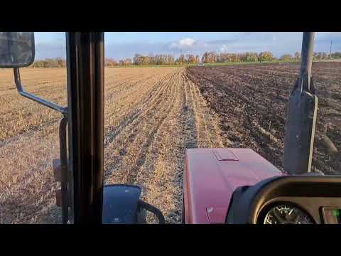 Видео: Дискуємо МТЗ 892.2. Ціна на дискування)