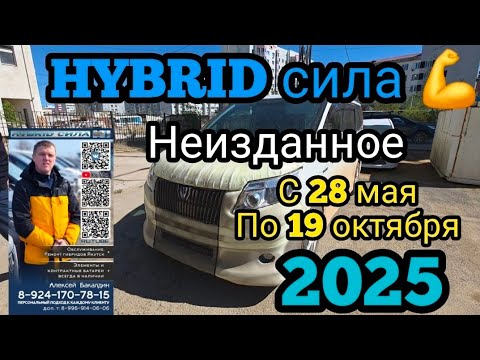 Видео: Hybrid сила 💪  НЕИЗДАННОЕ с 28 мая по 19 Октября 2025 . 89241707815