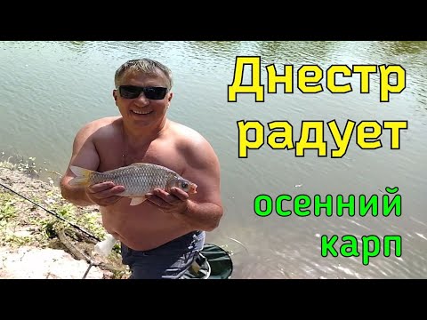 Видео: Рыбалка на Днестре. Необыкновенное спокойствие и выдержка при вываживании карпа в одиночку.