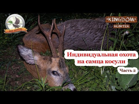 Видео: Индивидуальная охота на самца косули.  Часть 2.  (Roe buck hunting 2018)