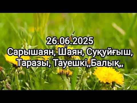 Видео: Күндік таро болжам