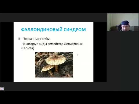 Видео: Острое отравление грибами Кузнецов ОА