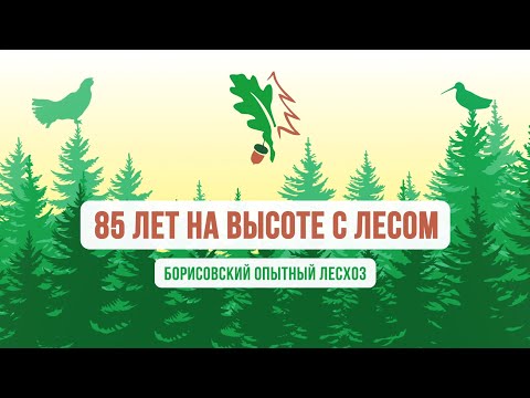 Видео: Борисовский опытный лесхоз - 85 ЛЕТ НА ВЫСОТЕ С ЛЕСОМ, фильм Студии Видеолаб