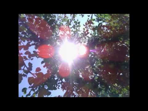 Видео: Медитация физического благополучия( цитируя Абрахам Хикс)