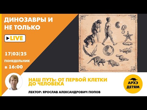 Видео: Занятие "Наш путь: от первой клетки до человека" Динозавры и не только с Ярославом Поповым