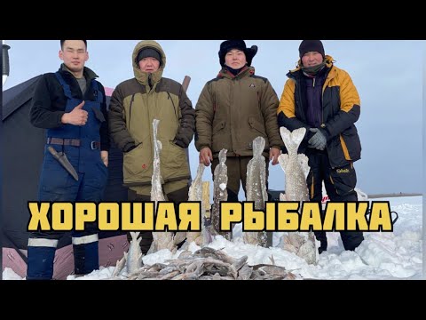Видео: Подледная рыбалка, большие сорожки