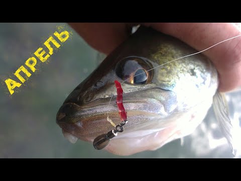Видео: Судак на мотыля, или Проверка одной идеи. Весенняя рыбалка с 610-ым SS (Часть 2 - дополнительная).