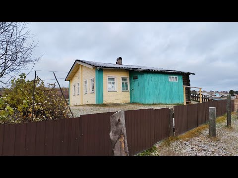 Видео: Сходил к речке по старым тропам. Новости с реки 20.10.25
