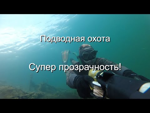 Видео: Подводная охота в СУПЕР прозраке!