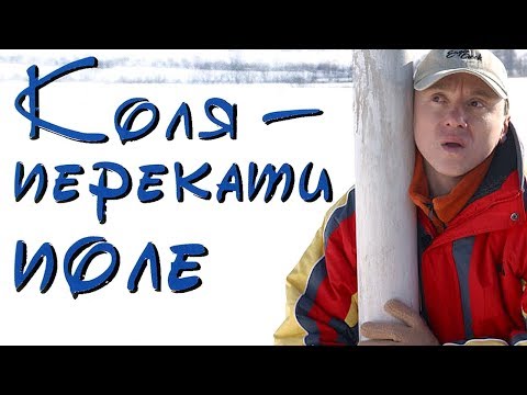 Видео: Коля – Перекати поле / Смотреть весь фильм