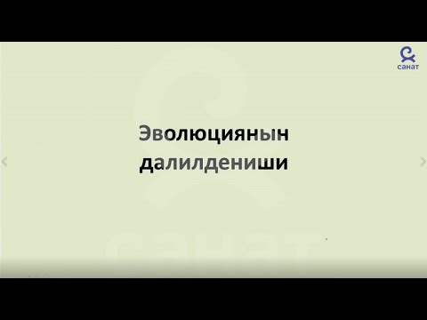 Видео: Биология 9 класс 41 сабак