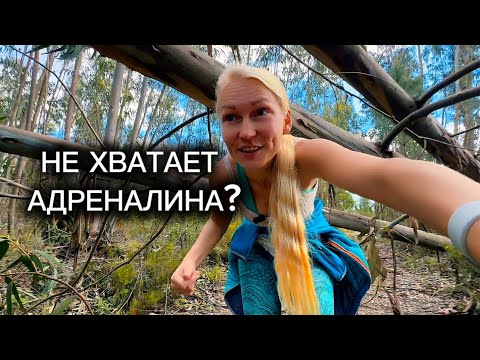 Видео: Жизнь в лесу Португалии. Очищение водой и 10к шагов в день. 10 серия