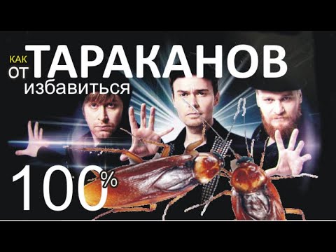 Видео: тараканов травить  100% БЕЗОПАСНО  для людей Сталинский способ  избавления