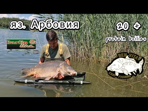 Видео: яз. Арбовия, едно парче от рая | CARP FISHING | Как си направихме протеинови топчета на място