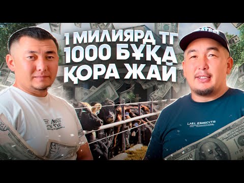 Видео: 1 милиярд тг ге салынға заманауи бұқа борлақылау аланы(4 сала,кормороздатчик)