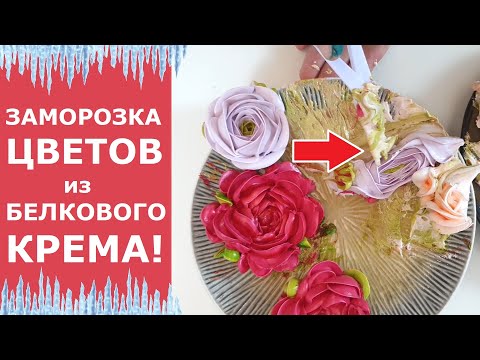 Видео: Заморозка цветов из белкового крема. Белково-заварной крем. Что будет после ЗАМОРОЗКИ?