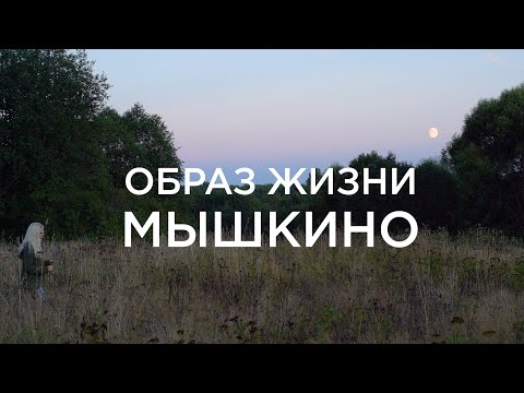 Видео: Образ жизни МЫШКИНО