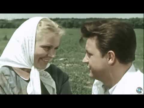 Видео: Ой, ромашка - белый цвет