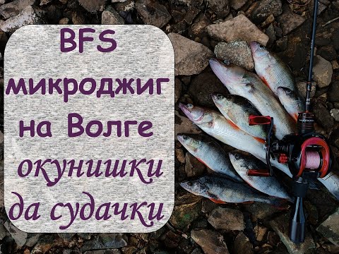 Видео: BFS на Волге. Окунишки да судачки