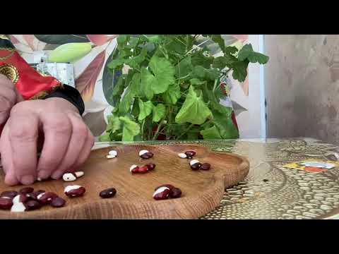 Видео: [ГАДАНИЕ НА БОБАХ] С кем вас сведёт судьба