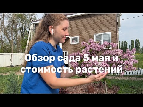 Видео: Обзор сада 5 мая: стоимость растений и что никогда больше не посажу