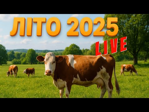 Видео: Краса Літа що Минуло. Літо 2025 у селі 🌾 Корови на толоці, зелень і спокій | Ало Село LIVE