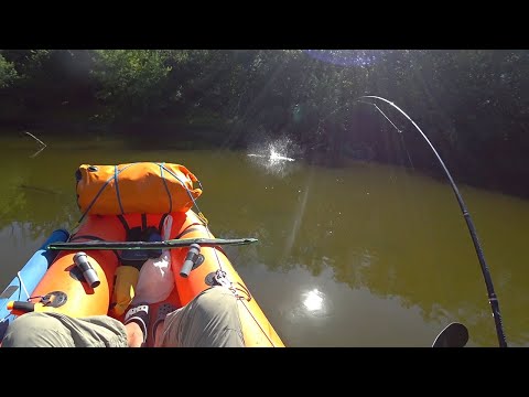 Видео: Выманил трофей из под коряжника. Псёл. Юрки - Манжелия (ч.2)