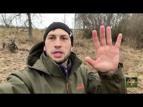 Видео: ОСЕННИЕ БУДНИ В ЛЕСУ/ ЗАКРЫТИЕ СЕЗОНА 2024/ METAL DETECTING !