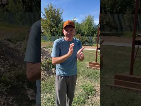 Видео: Безумный садовод: тыквы теперь растут на деревьях! 🤪
