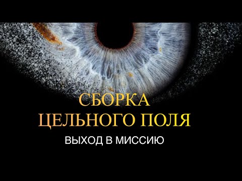 Видео: СБОРКА ЦЕЛЬНОГО ПОЛЯ ⚖️🌗🌪️ ВЫХОД В МИССИЮ 💥 Поток для звёздных 🌟✨