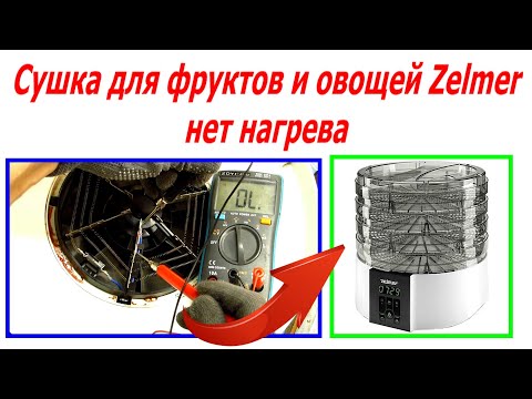 Видео: Сушка для фруктов и овощей ZELMER не греет, причина и устранение неисправности.