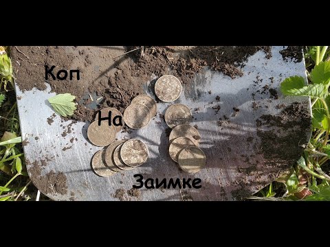 Видео: Коп на Заимке