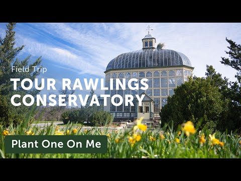 Видео: Роулингс: Экскурсия по одной из старейших оранжерей Америки — Эп. 380