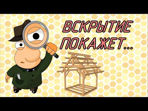 Видео: Каркасный/фанерный улей.Отзыв после 3лет.Разбираем корпус и врезаем сетку в дно.Есть ли плесень?
