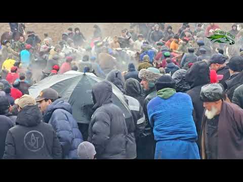 Видео: Бузкашии ш Хисор 15 02 2025 UMED VIDEO. TAJIKISTAN. ZARAFSHON