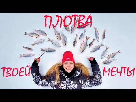 Видео: ДОЛГО ЖДАЛА ТАКУЮ РЫБАЛКУ! Леска звенит от таких рыбин! Ловим огромную плотву зимой со льда.