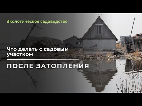 Видео: Затопление садового участка - как восстановить почву