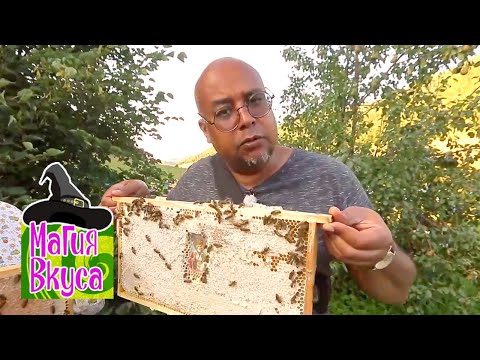 Видео: Алтайские деликатесы. Магия вкуса