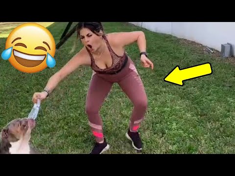 Видео: Я РЖАЛ ДО СЛЕЗ😂 15 Минут ОТБОРНЫХ ПРИКОЛОВ 2025 Смешные видео - Лучшие ПРИКОЛЫ #161