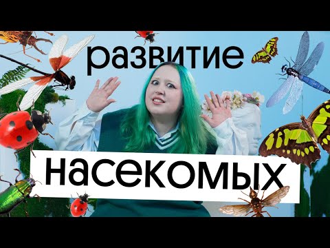 Видео: 🐛 РАЗВИТИЕ НАСЕКОМЫХ ЗА 10 МИНУТ | САМАЯ СЛОЖНАЯ ТЕМА ПО ЗООЛОГИИ!
