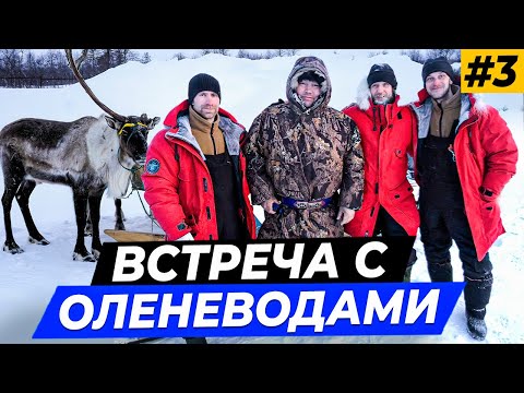 Видео: Тяжелый переход Коткино - Индига \ Встреча с оленеводами \  Экспедиция на собачьих упряжках #3