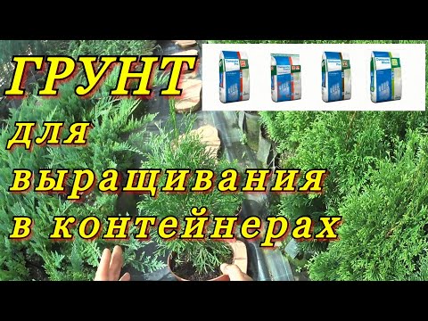 Видео: ГРУНТ (почва) для выращивания декоративных растений в контейнерах (в горшках).