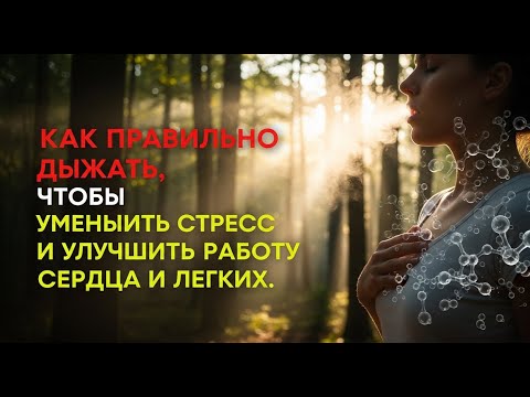 Видео: Как правильно дышать, чтобы уменьшить стресс и улучшить работу сердца и легких